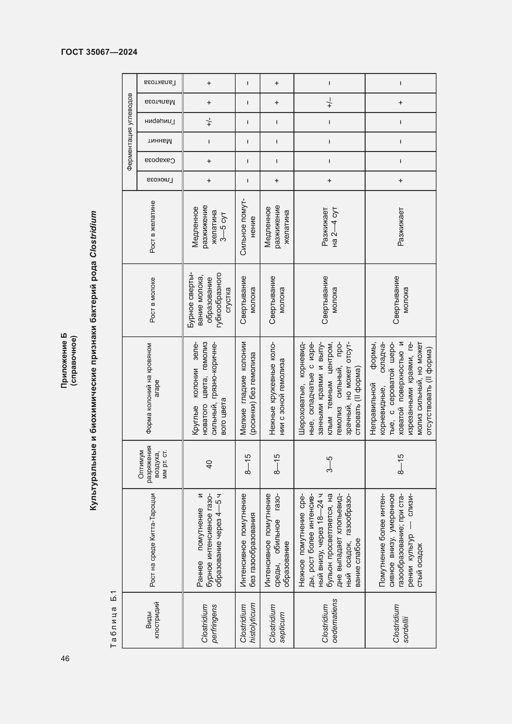  35067-2024.  50