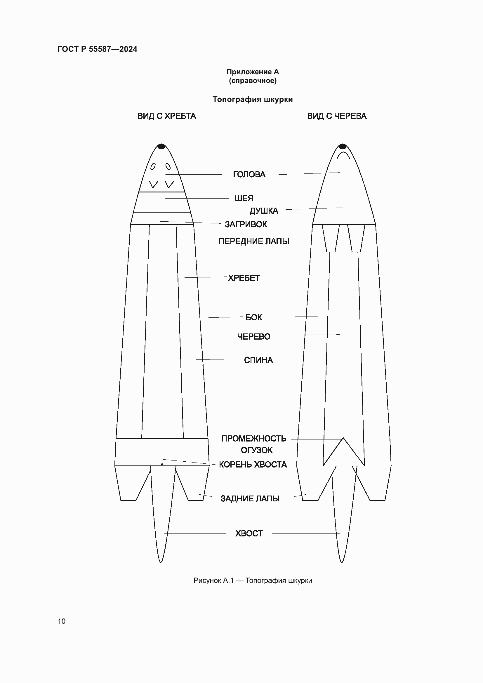   55587-2024.  14